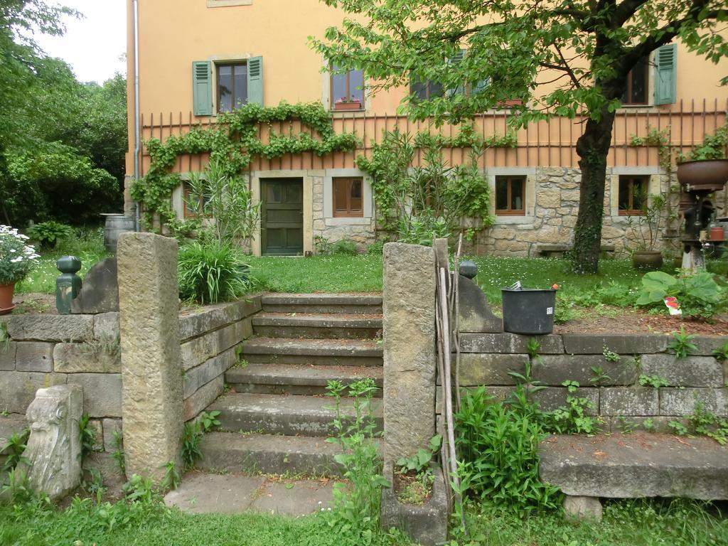 Ferienwohnung Mit Charme In Dresden Pillnitz Dış mekan fotoğraf